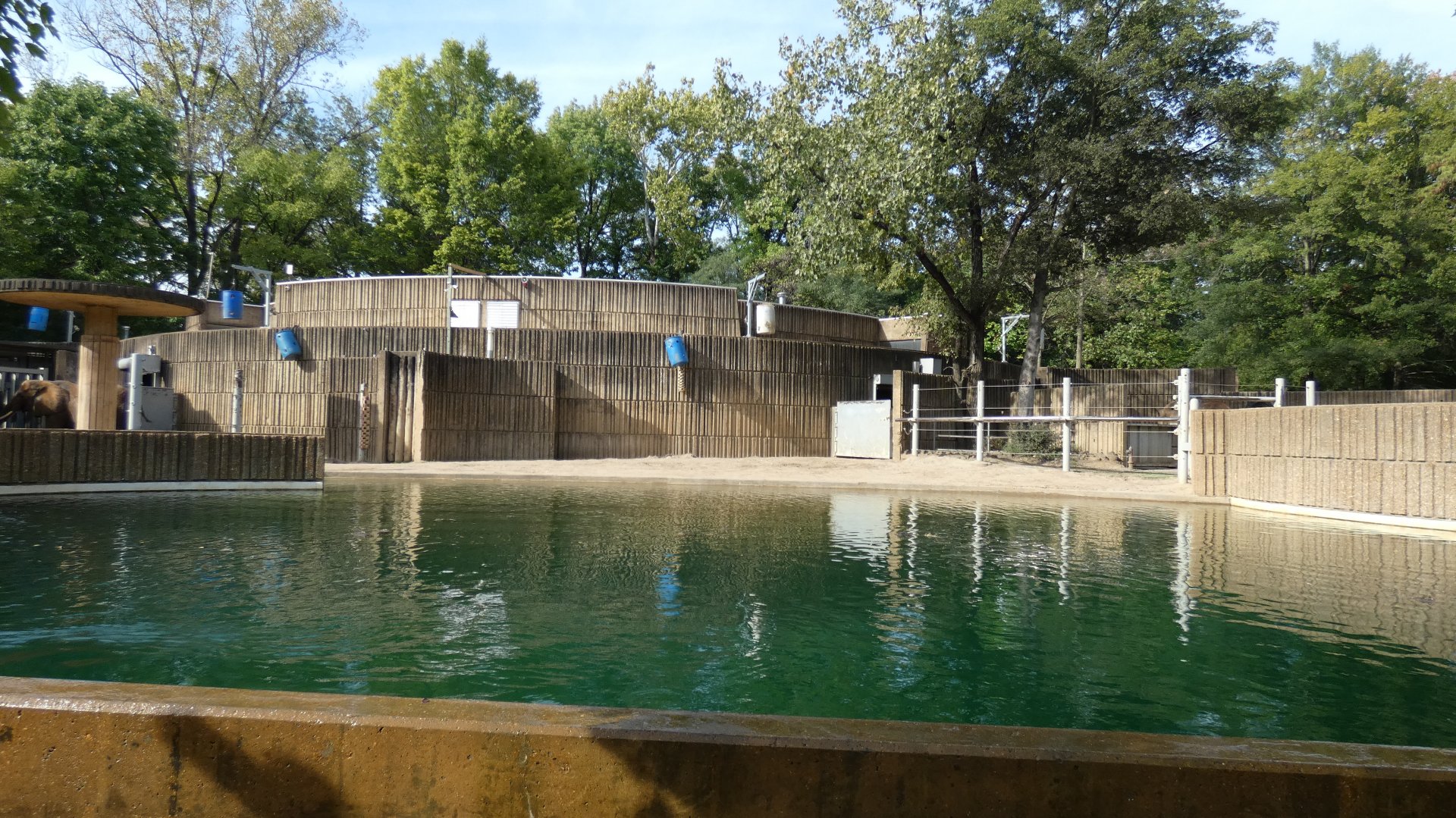 African Elephant Yard, African Veldt - Sep. 2021