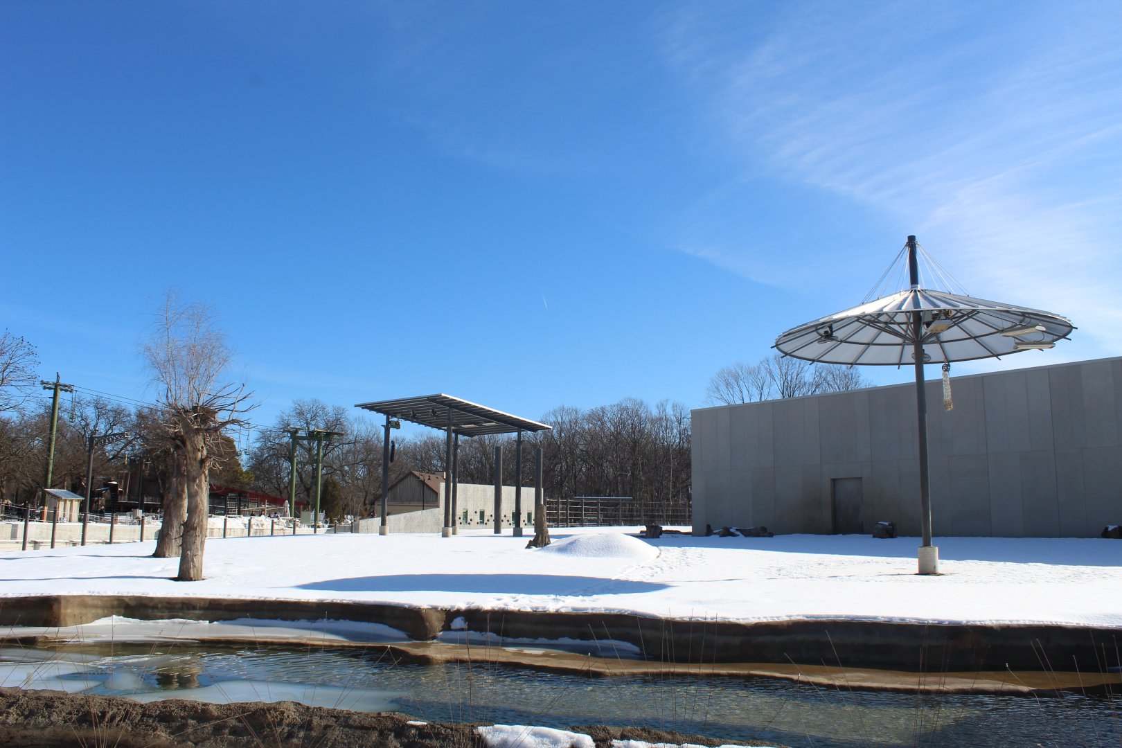 African Elephant Yard in the Winter