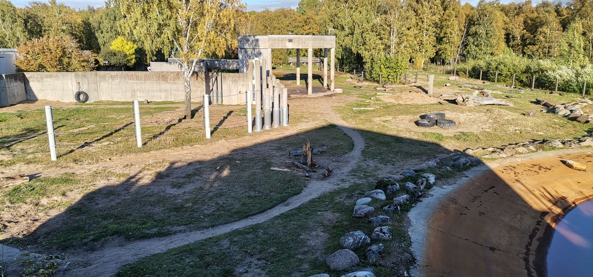 African Elephant yard