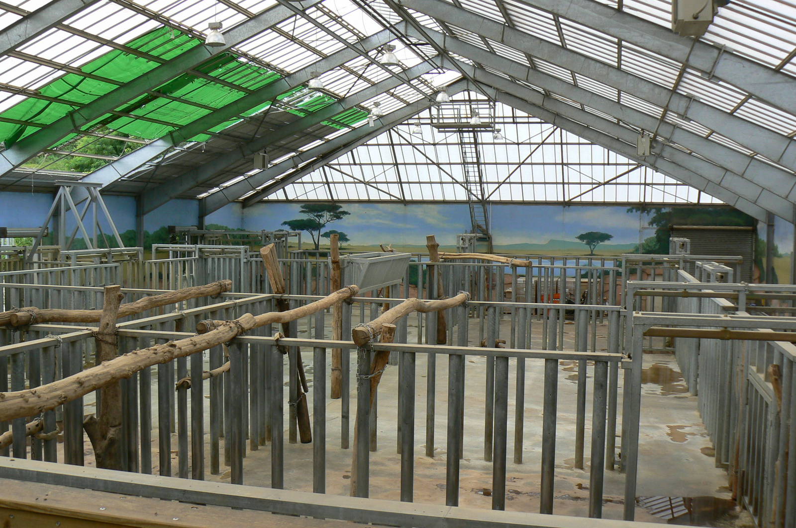 African elephants exhibit - Elephants house