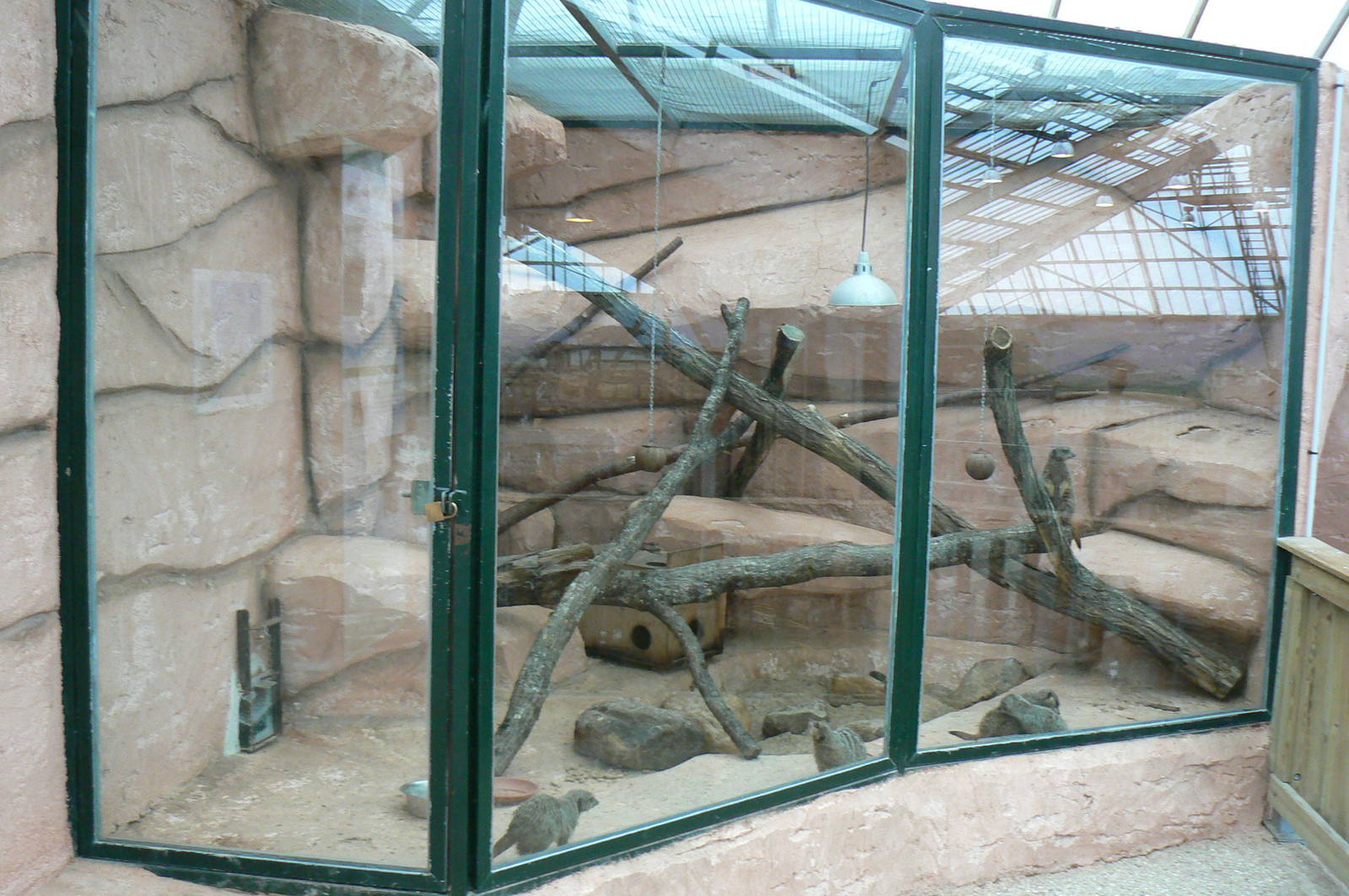 African elephants exhibit - Elephants house