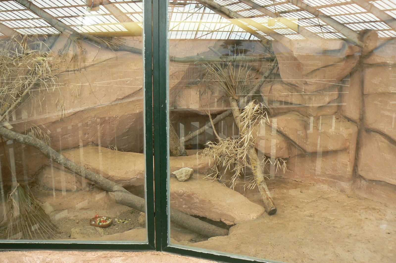 African elephants exhibit - Elephants house