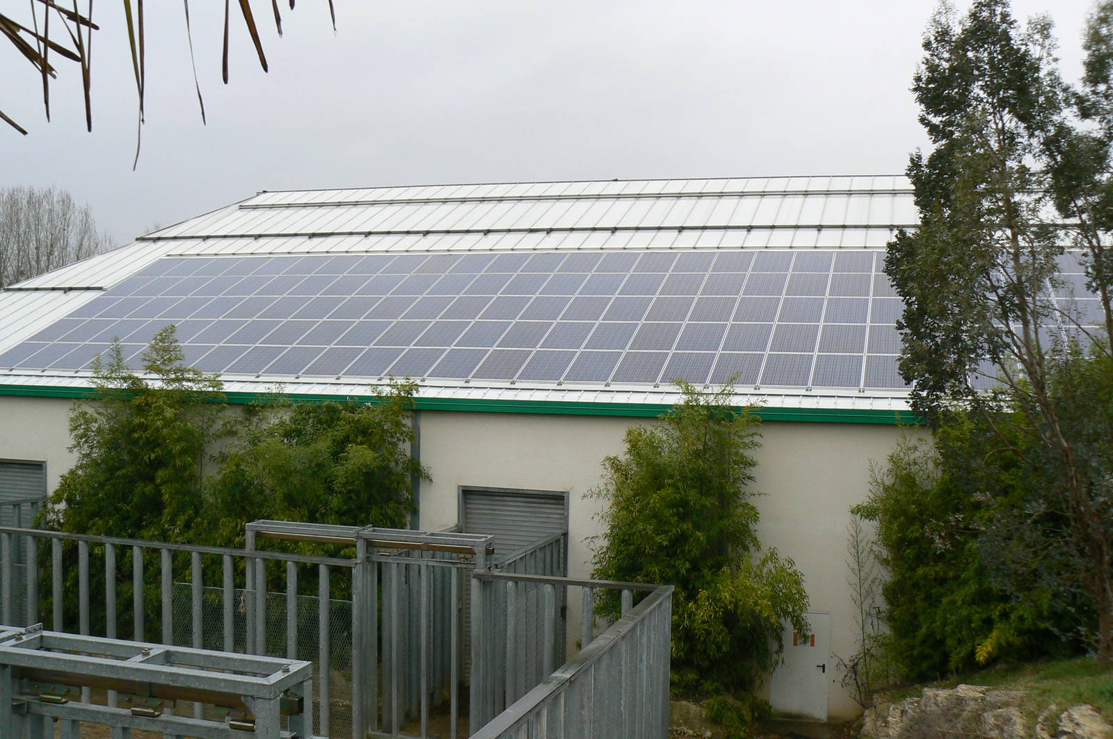 African elephants exhibit - Elephants house