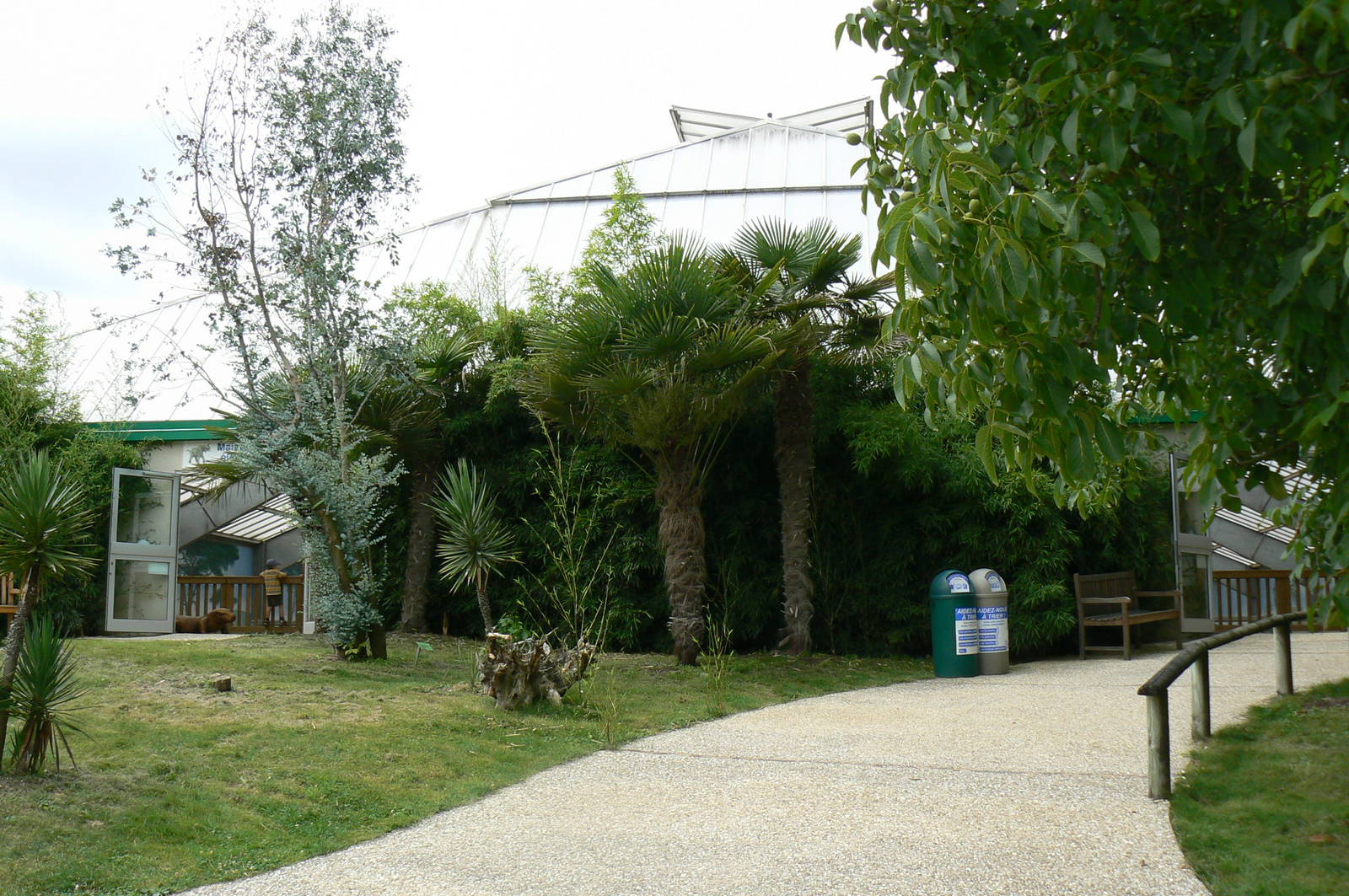 African elephants exhibit - Elephants house