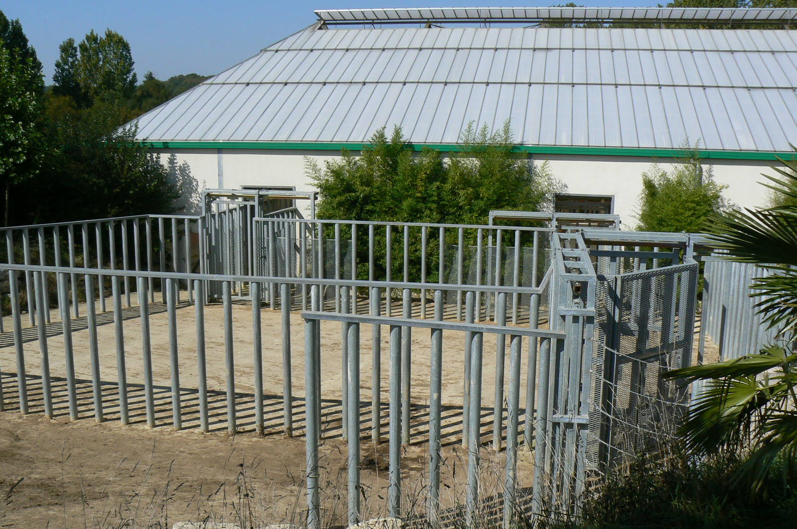 African elephants exhibit - Outdoor enclosures