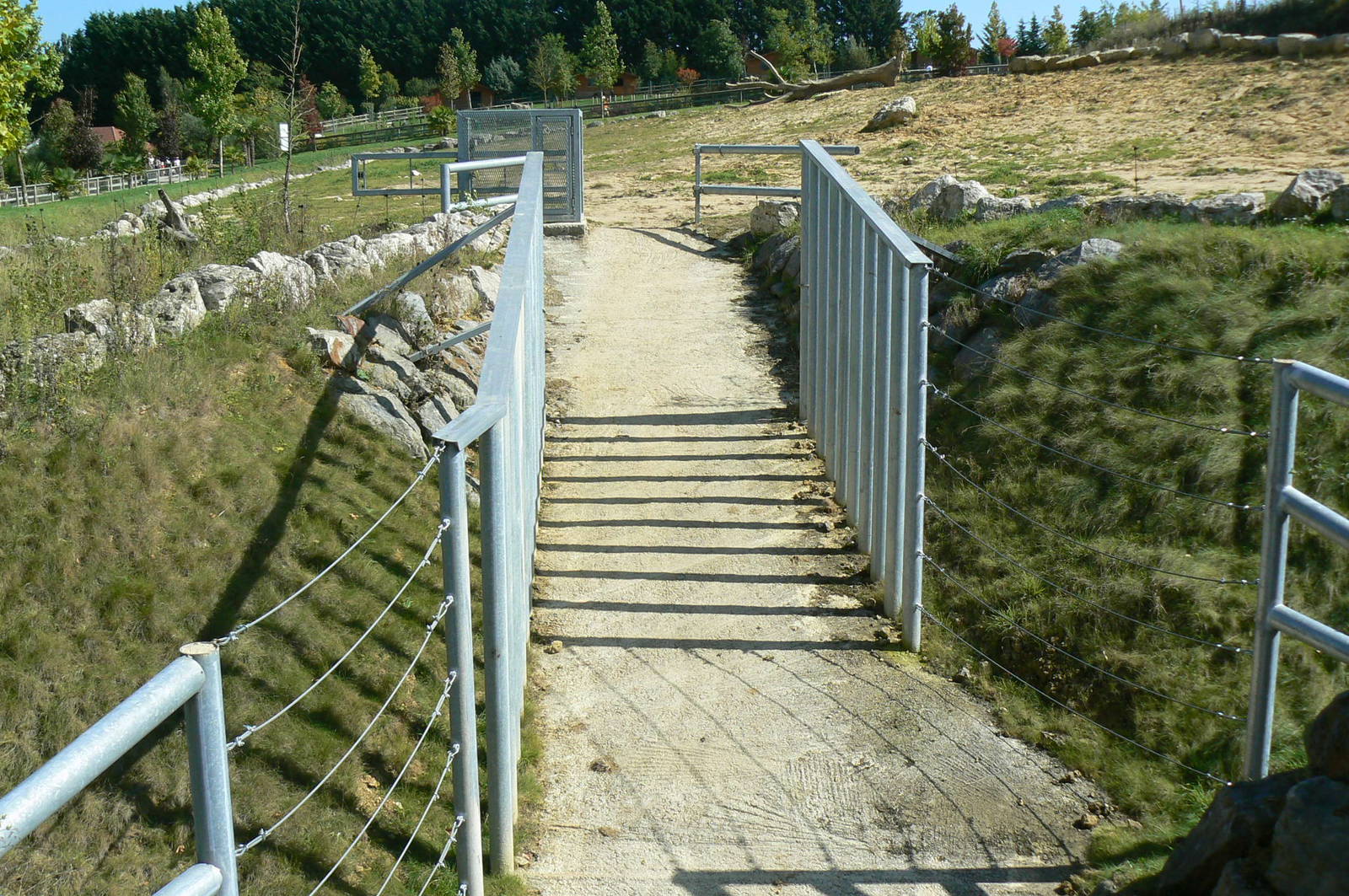 African elephants exhibit - Outdoor enclosures