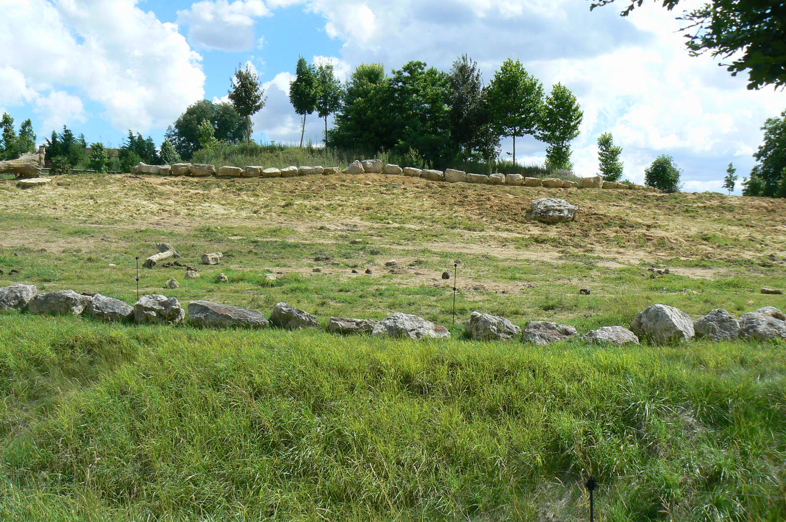 African elephants exhibit - Second enclosure (with sand)