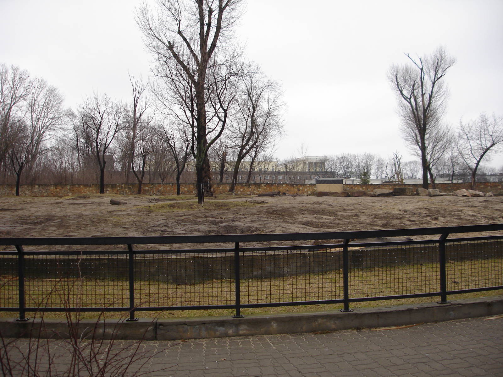 African Elephants exhibit