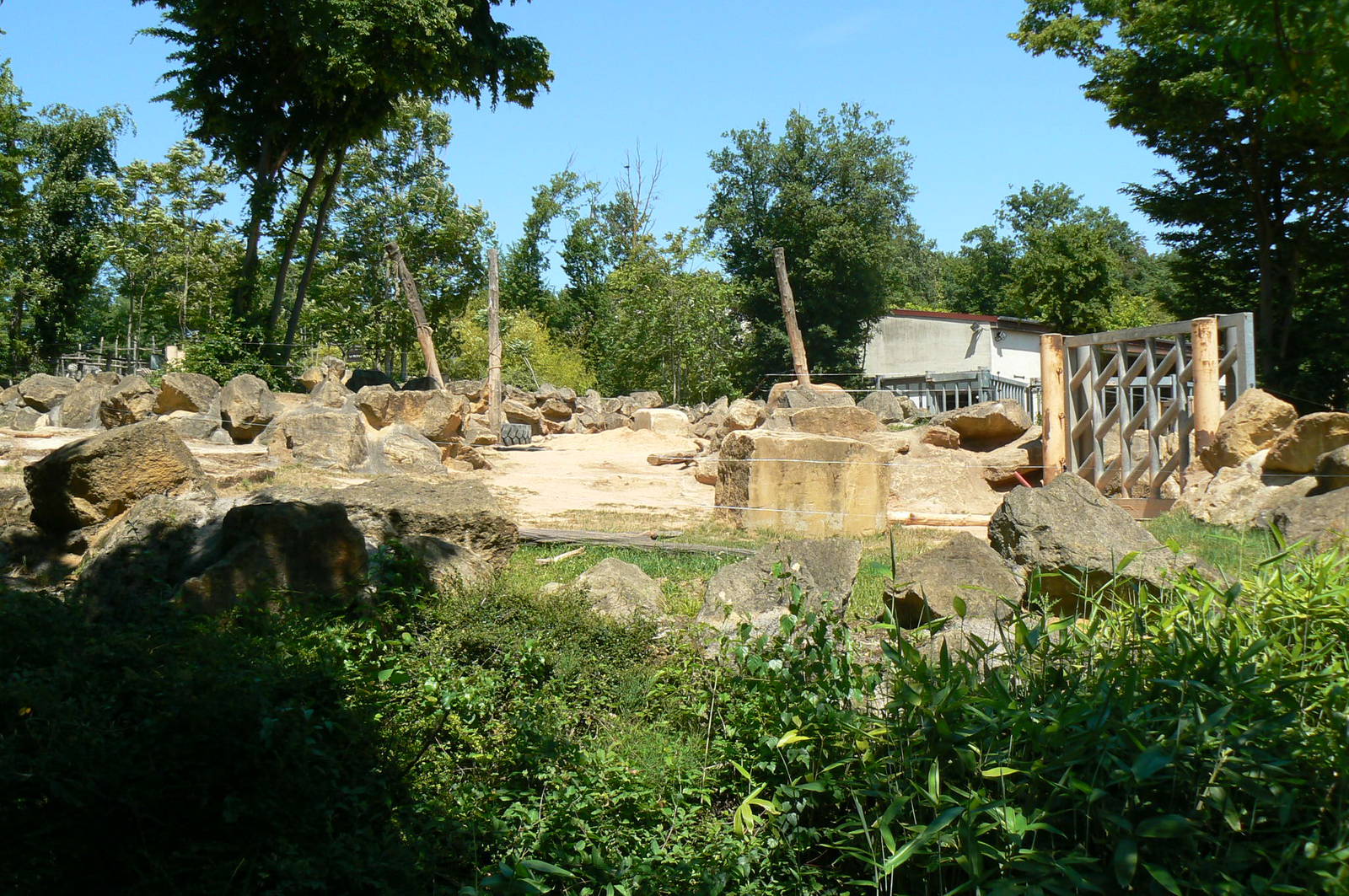 African elephants exhibit
