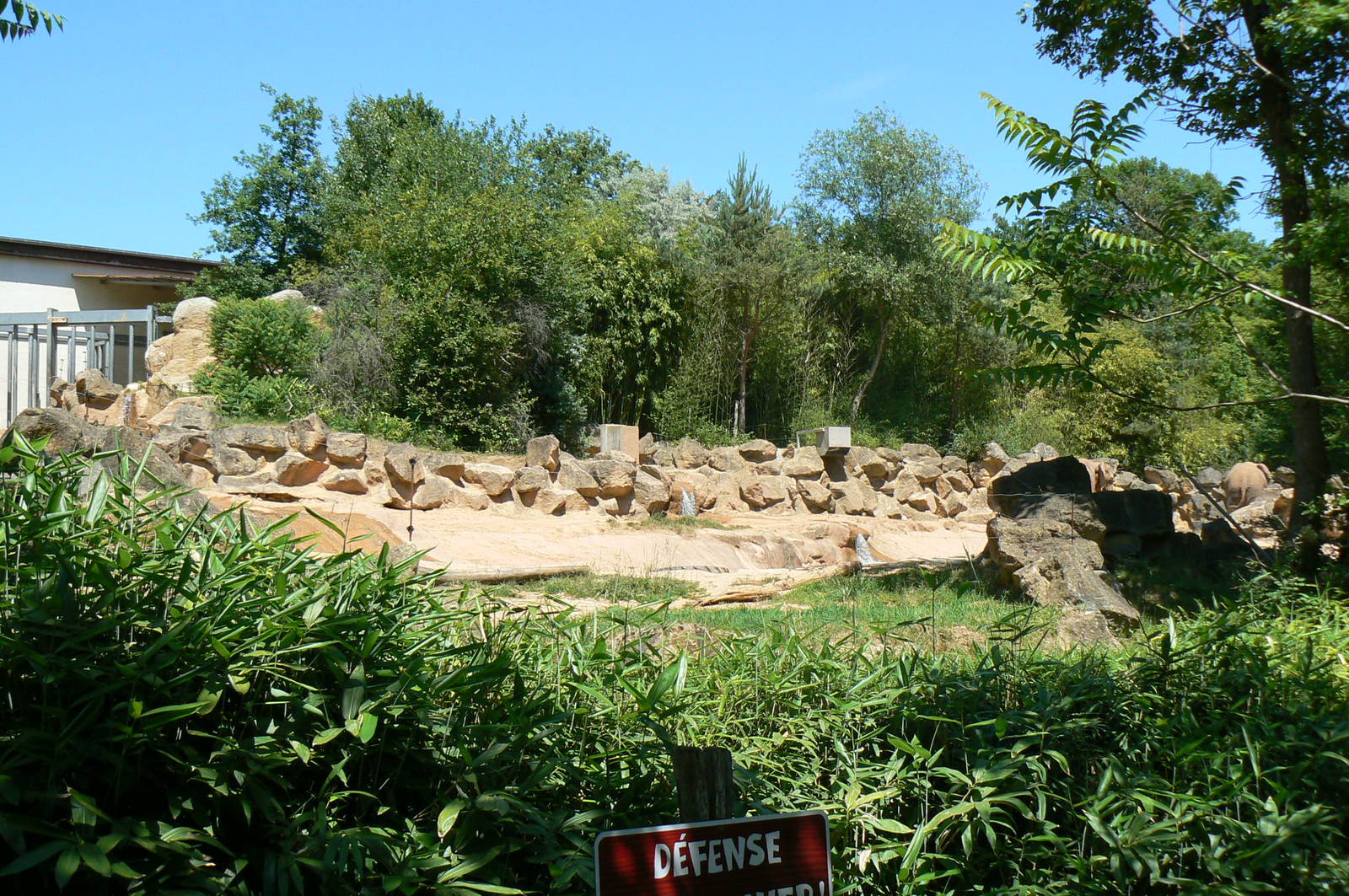 African elephants exhibit