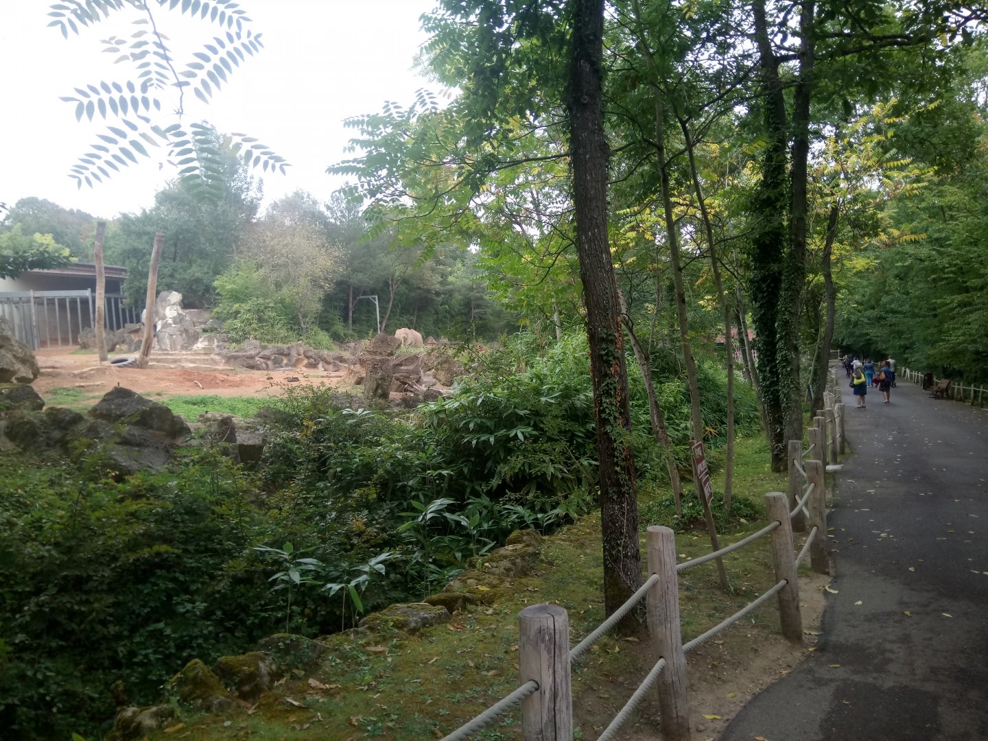 African Elephants Exhibit