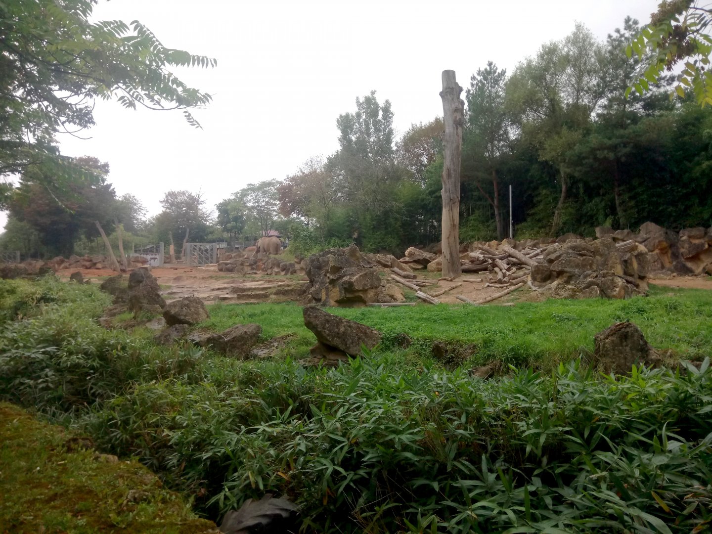 African Elephants Exhibit