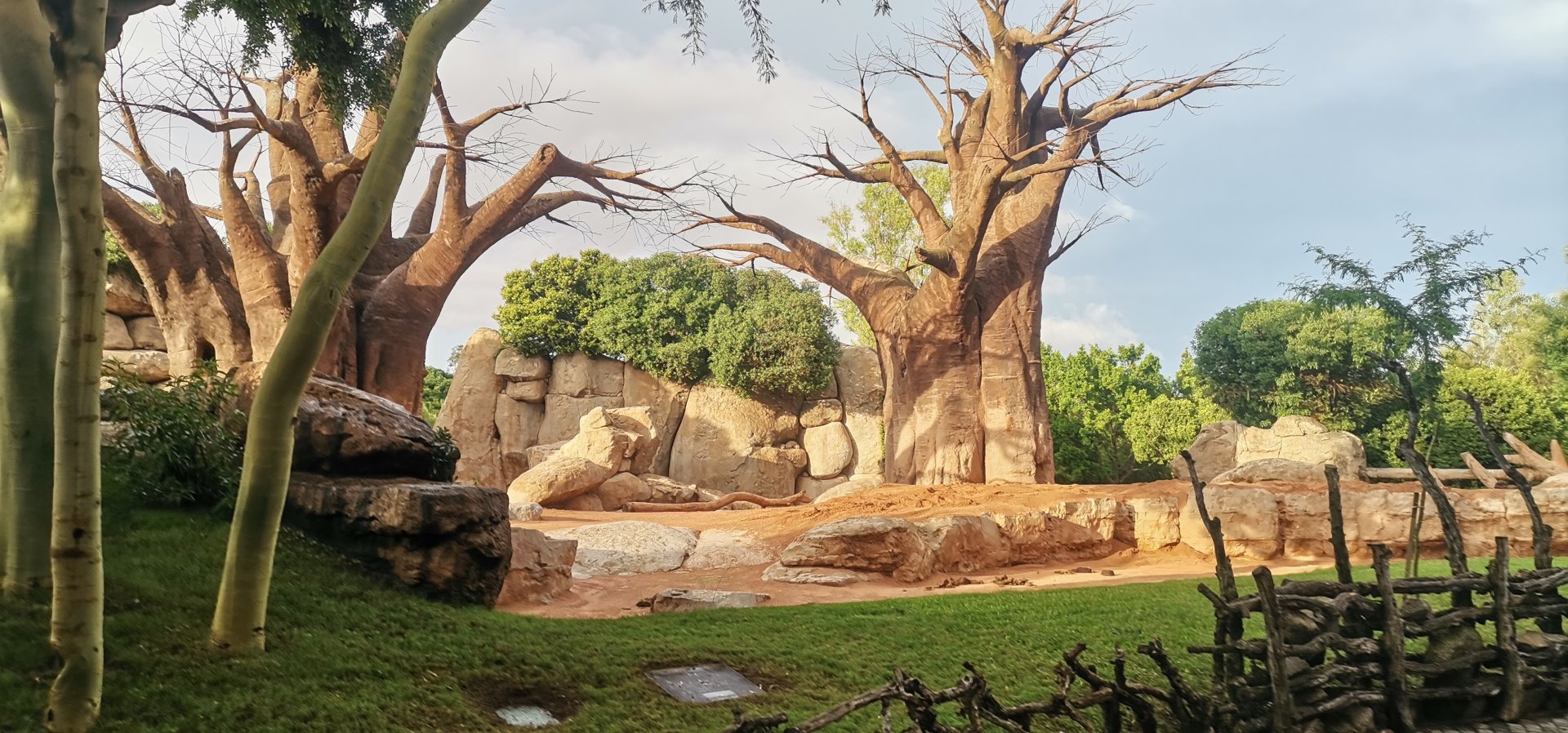 African Elephants exhibit