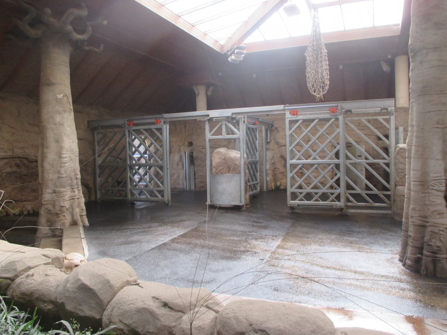 African elephant's house
