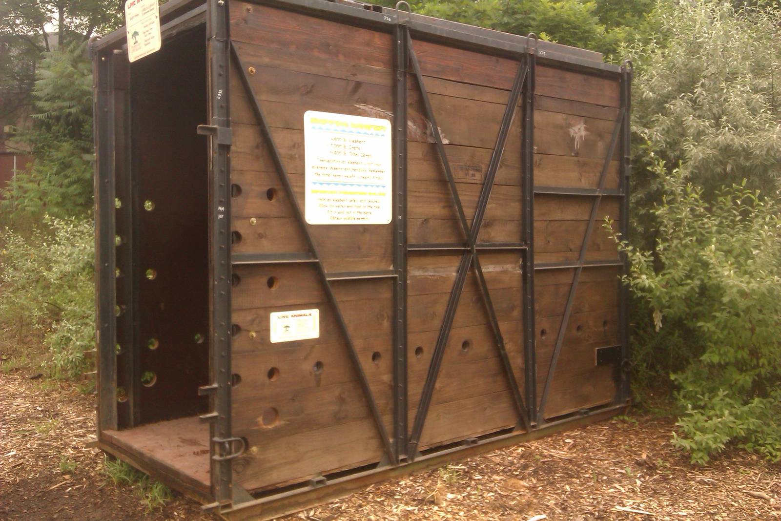 African Elphant Transport Box