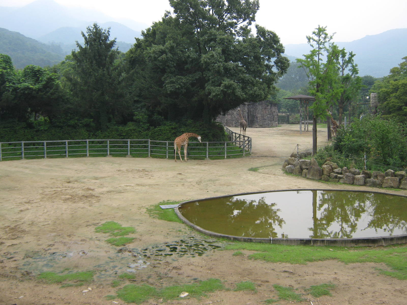 African enclosure