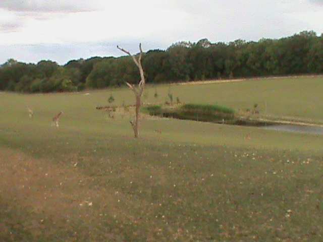 african exhibit 1 08/10