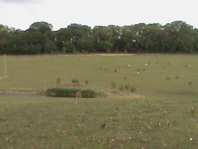 african exhibit 2 08/10