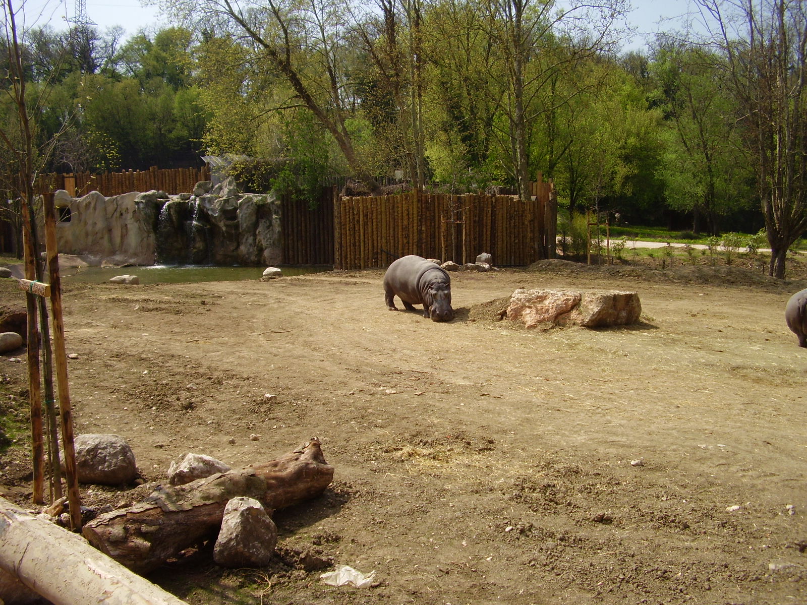 African Exhibit - 2010