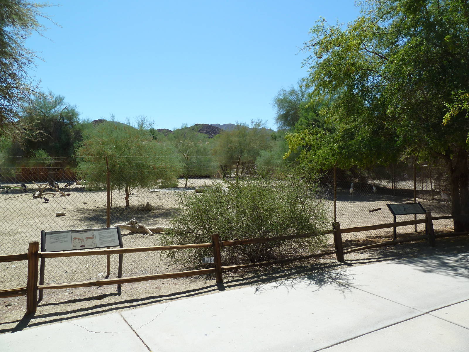 African Exhibit (3 Species)