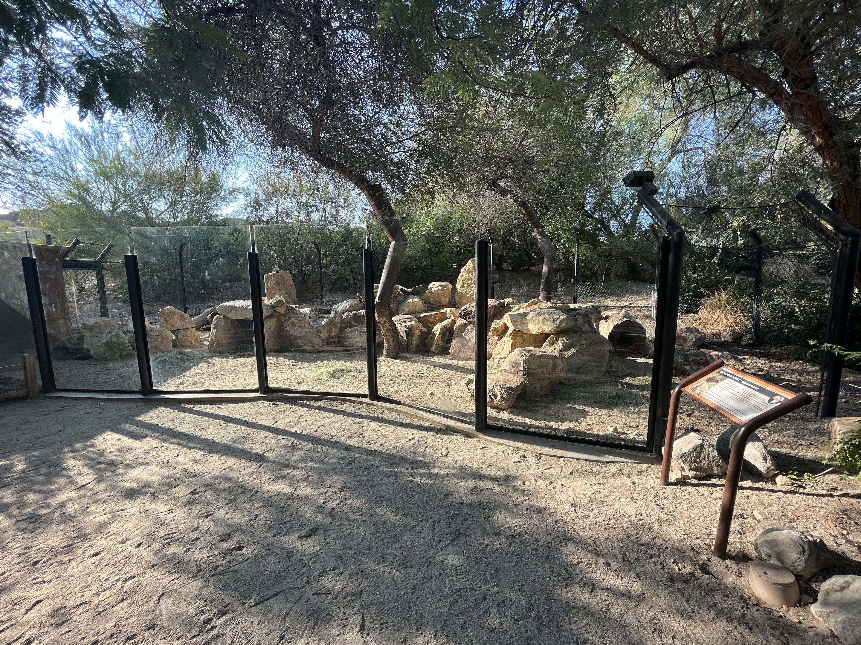 African Exhibit (3 species)