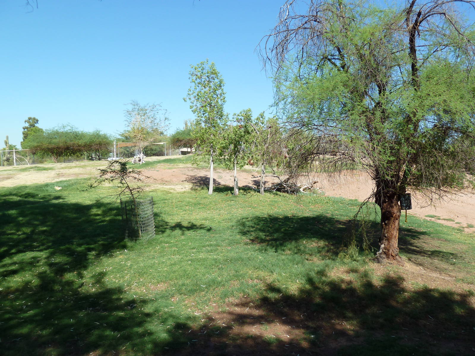 African Exhibit (4 Species)