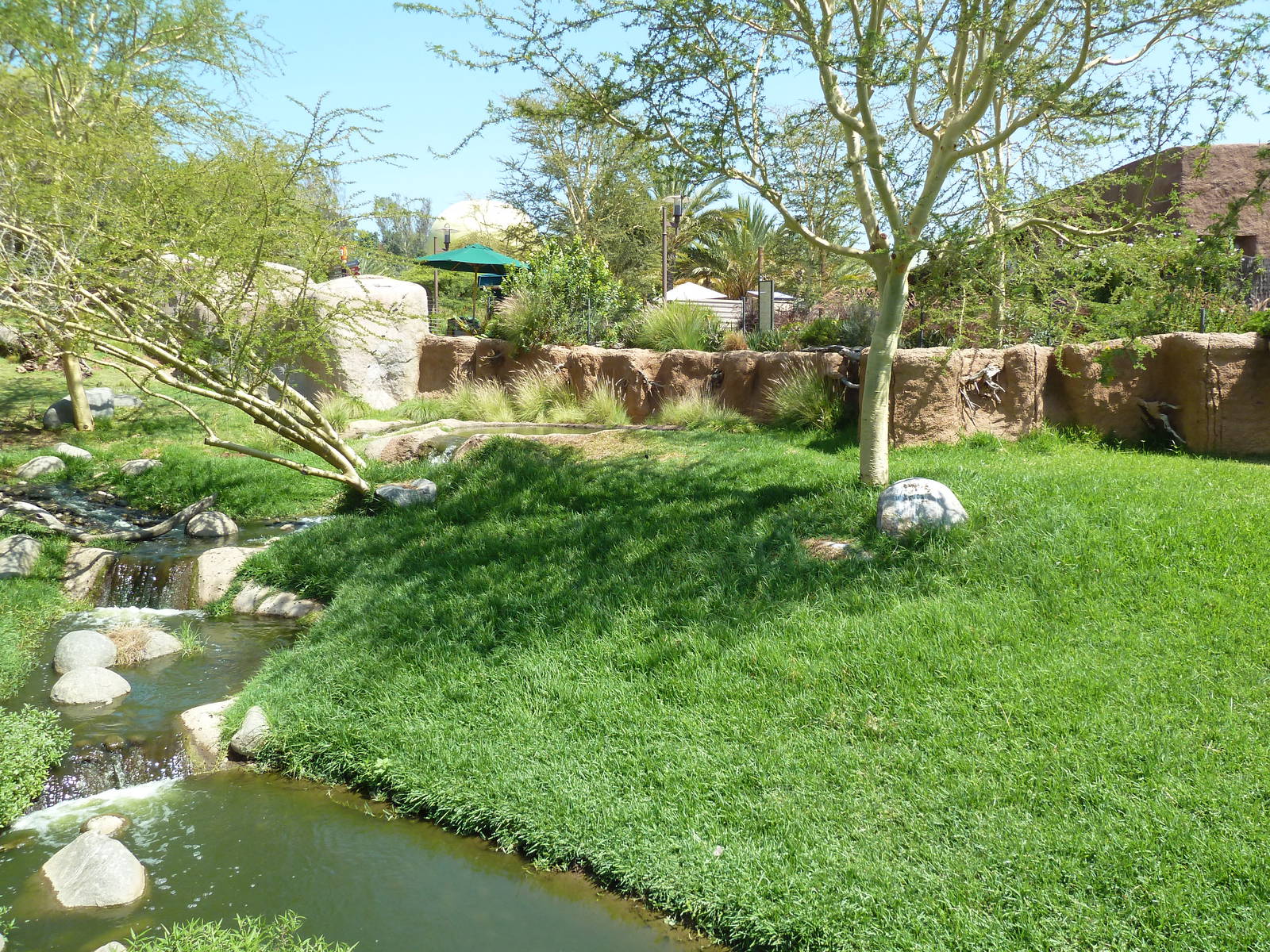 African Exhibit (5 Species)