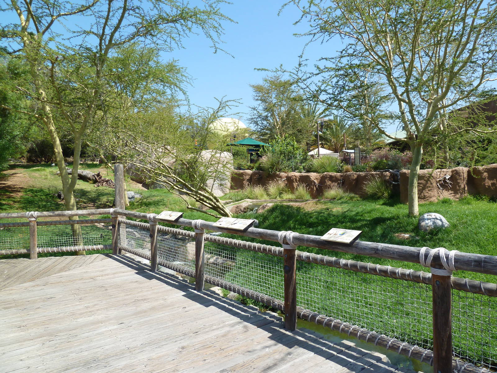 African Exhibit (5 Species)