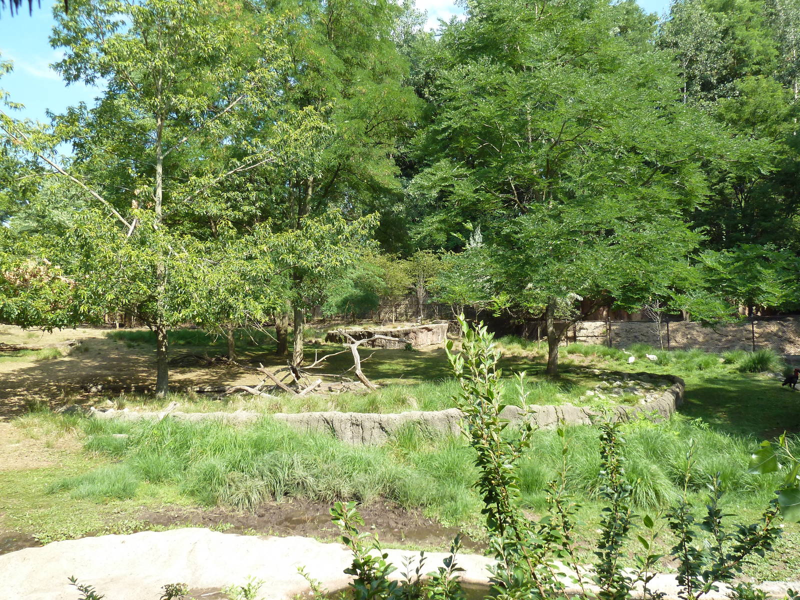 African Exhibit (5 Species)