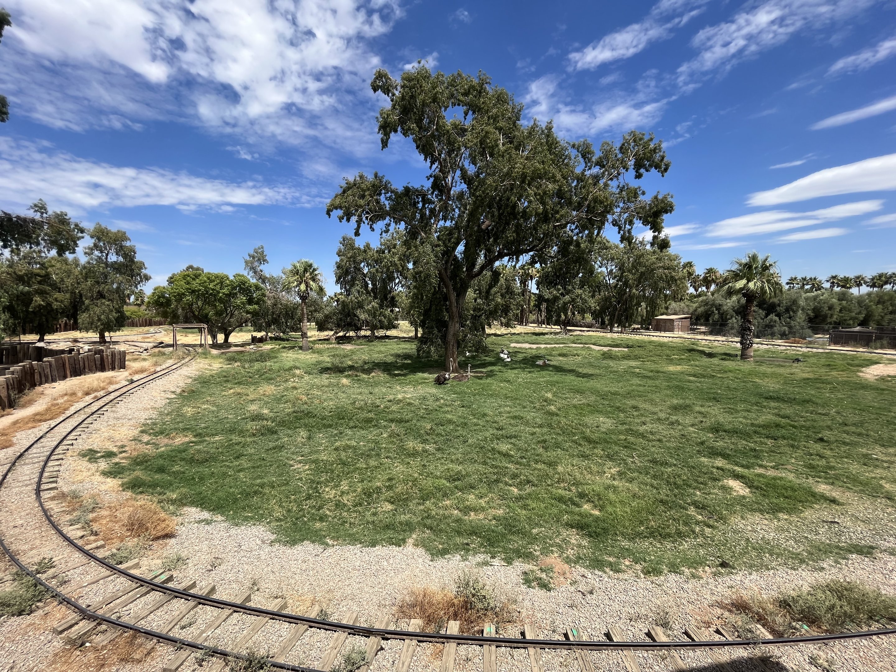 African Exhibit (5 species)