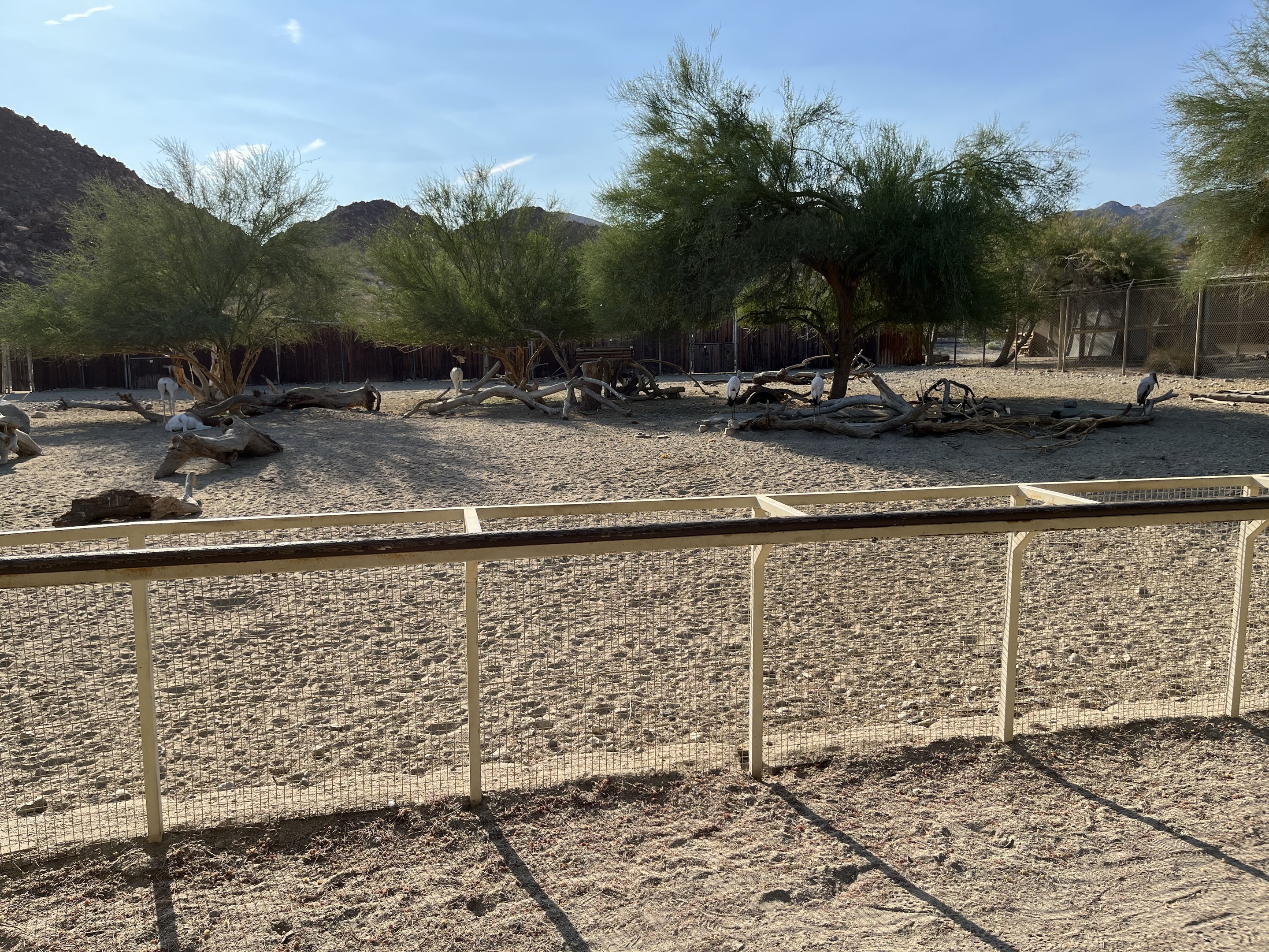 African Exhibit (5 species)