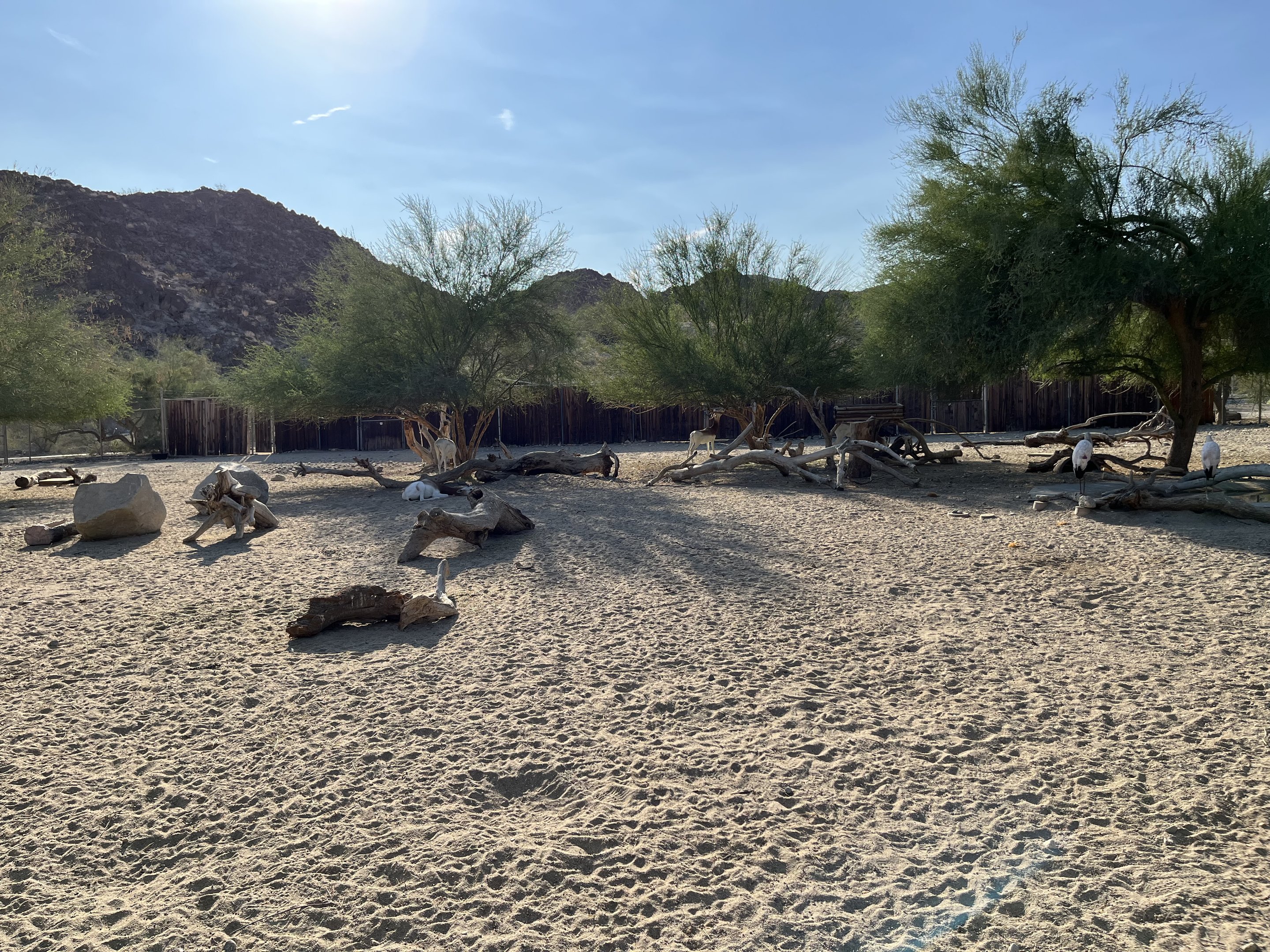 African Exhibit (5 species)