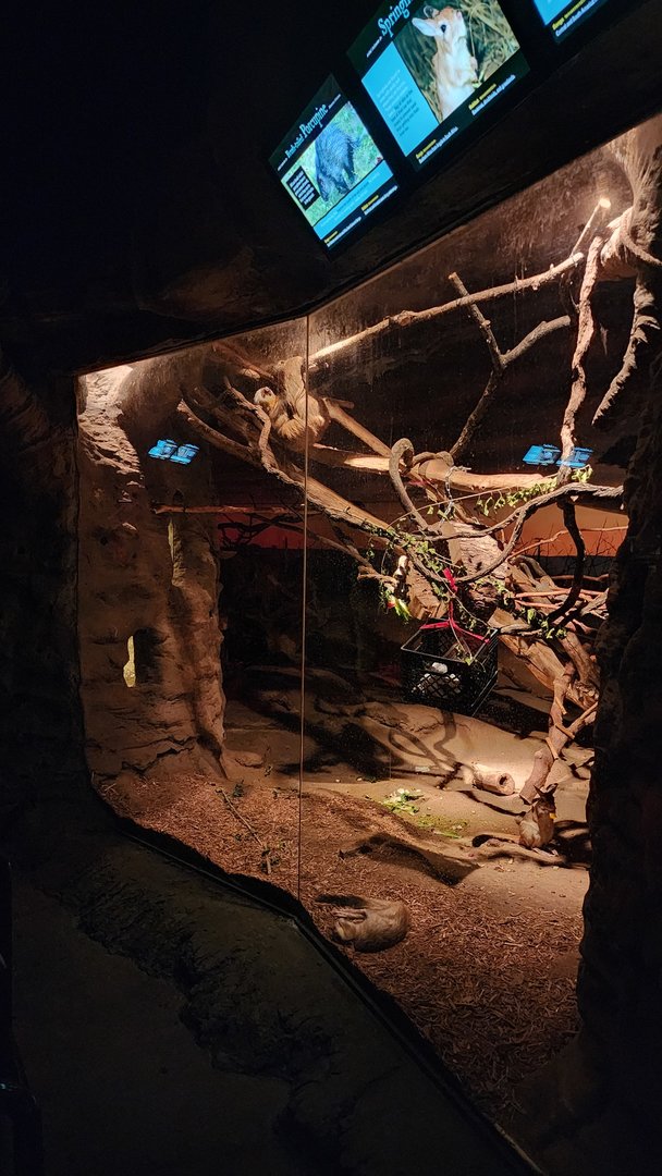 African Exhibit (KON)