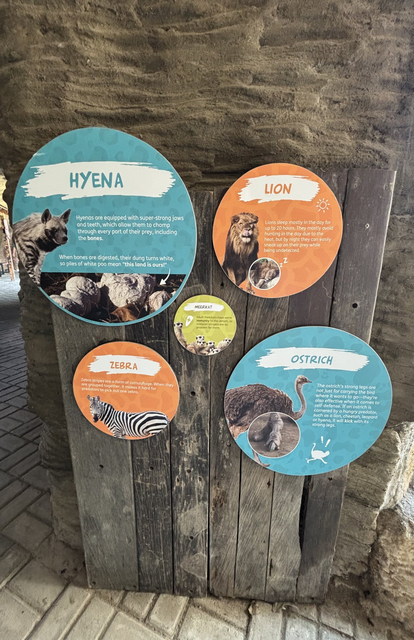 African Exhibit Signs