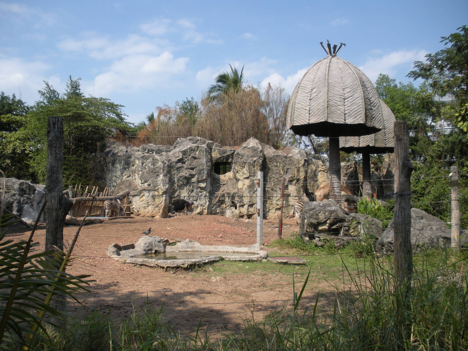 African Exhibit