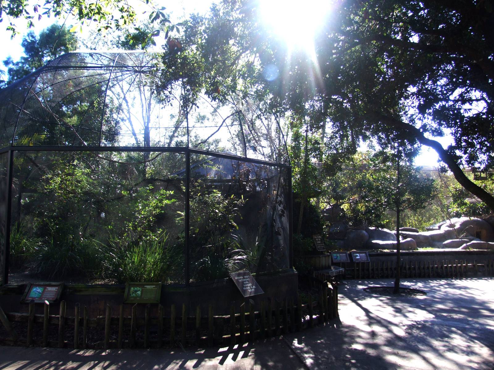 African Exhibits at Jacksonville, 10/10/13