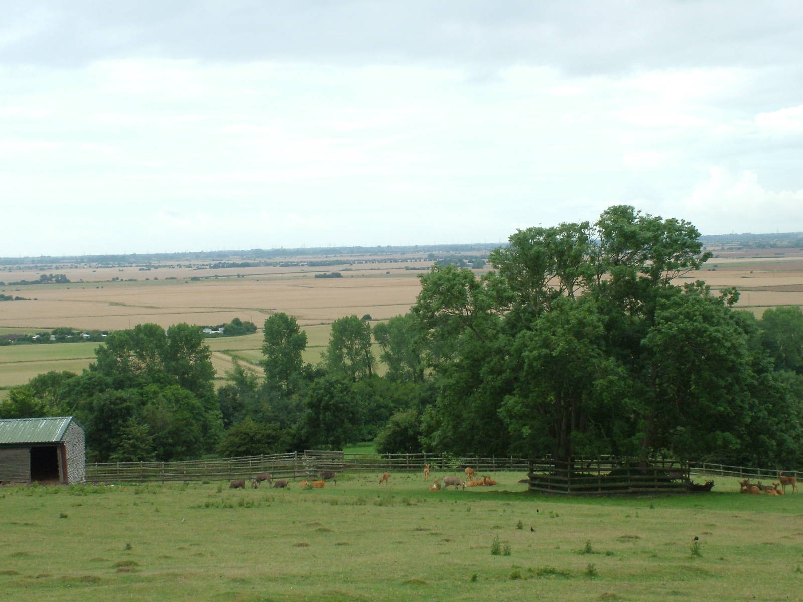 African Experience at Port Lympne, 01/08/10