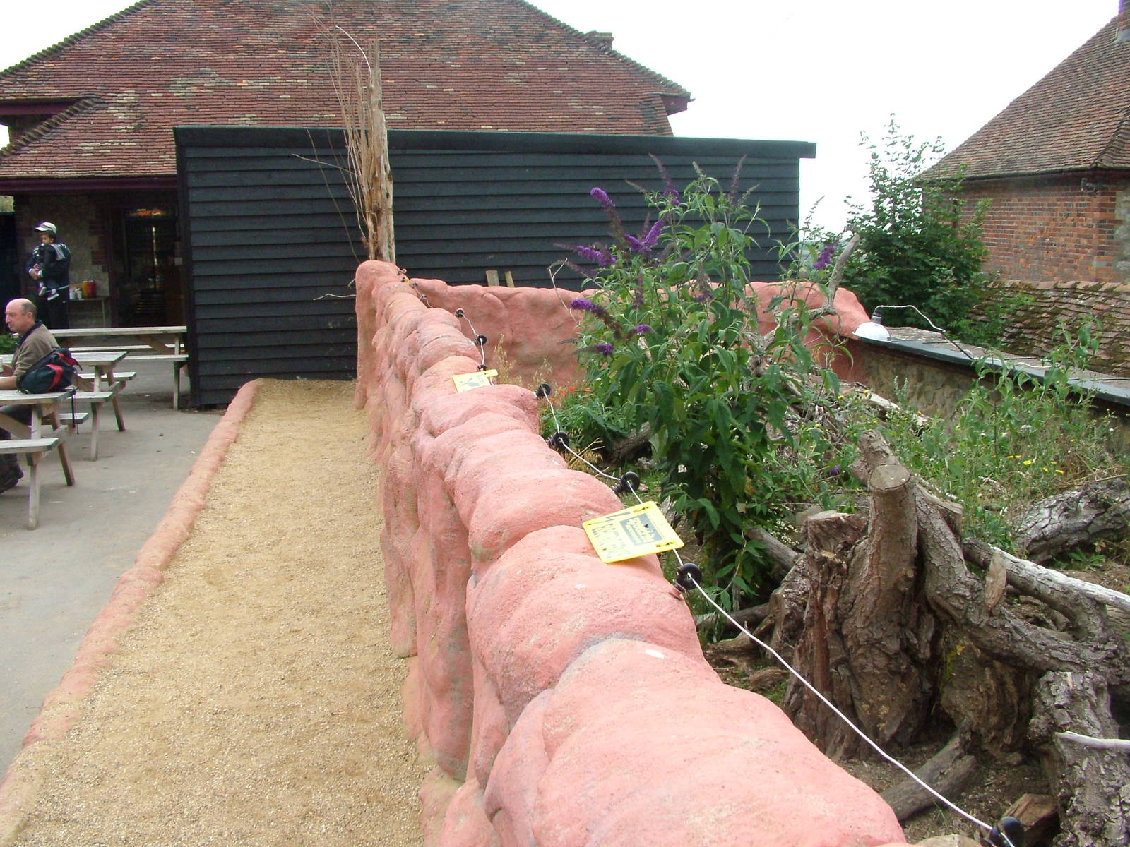 African Experience at Port Lympne, 01/08/10