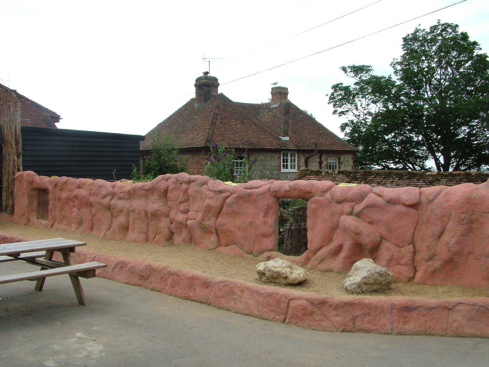 African Experience at Port Lympne, 01/08/10