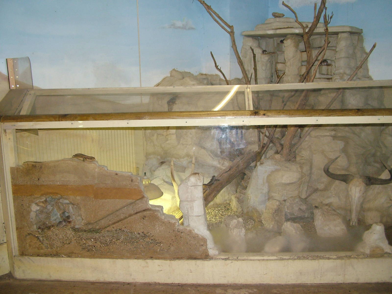 African Experience at Port Lympne, 01/08/10