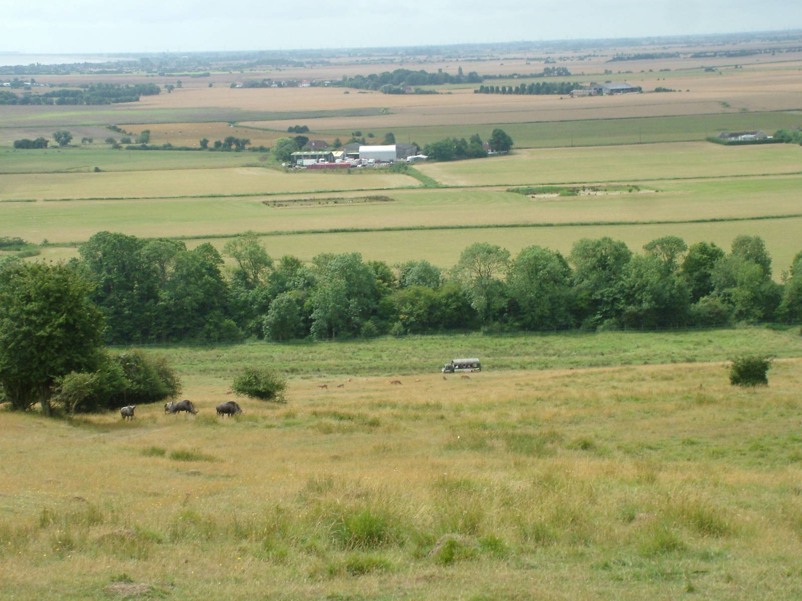 African Experience at Port Lympne, 01/08/10