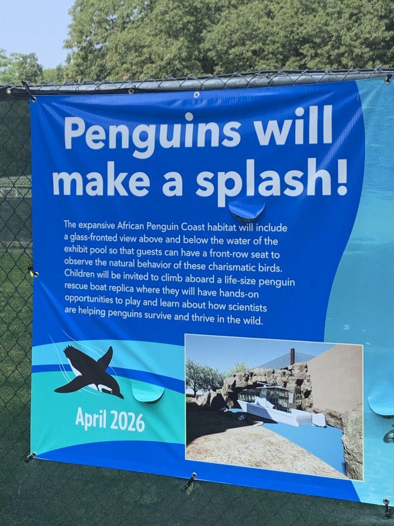 African Experience Construction