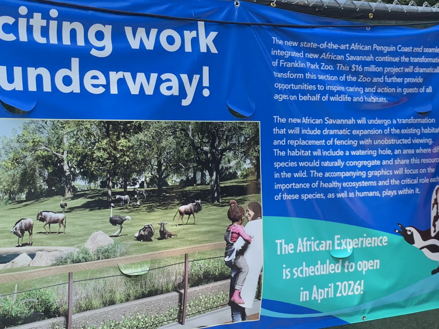 African Experience Construction