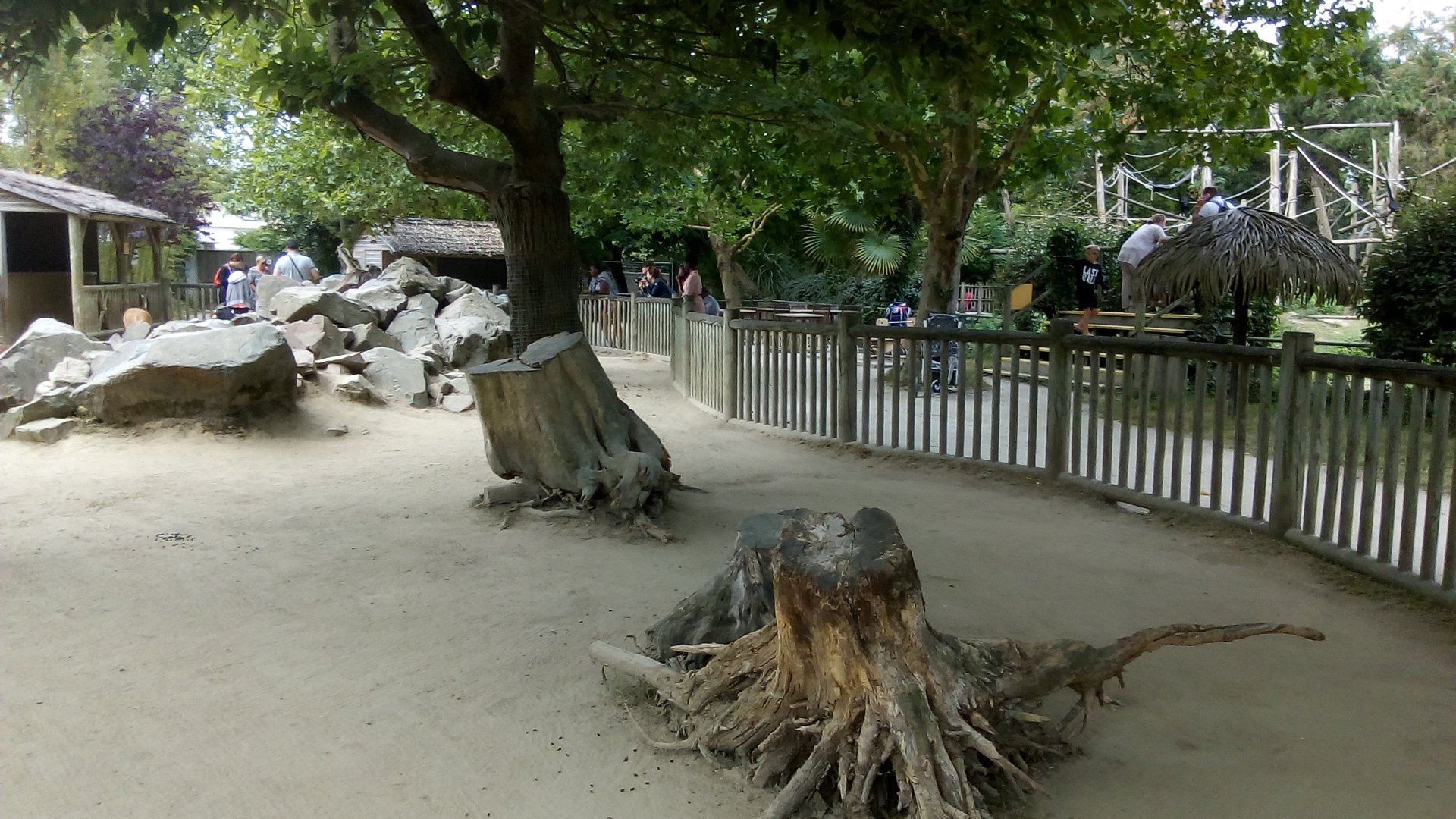 African Farm Walkthrough