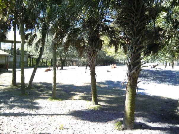 African Field Exhibit