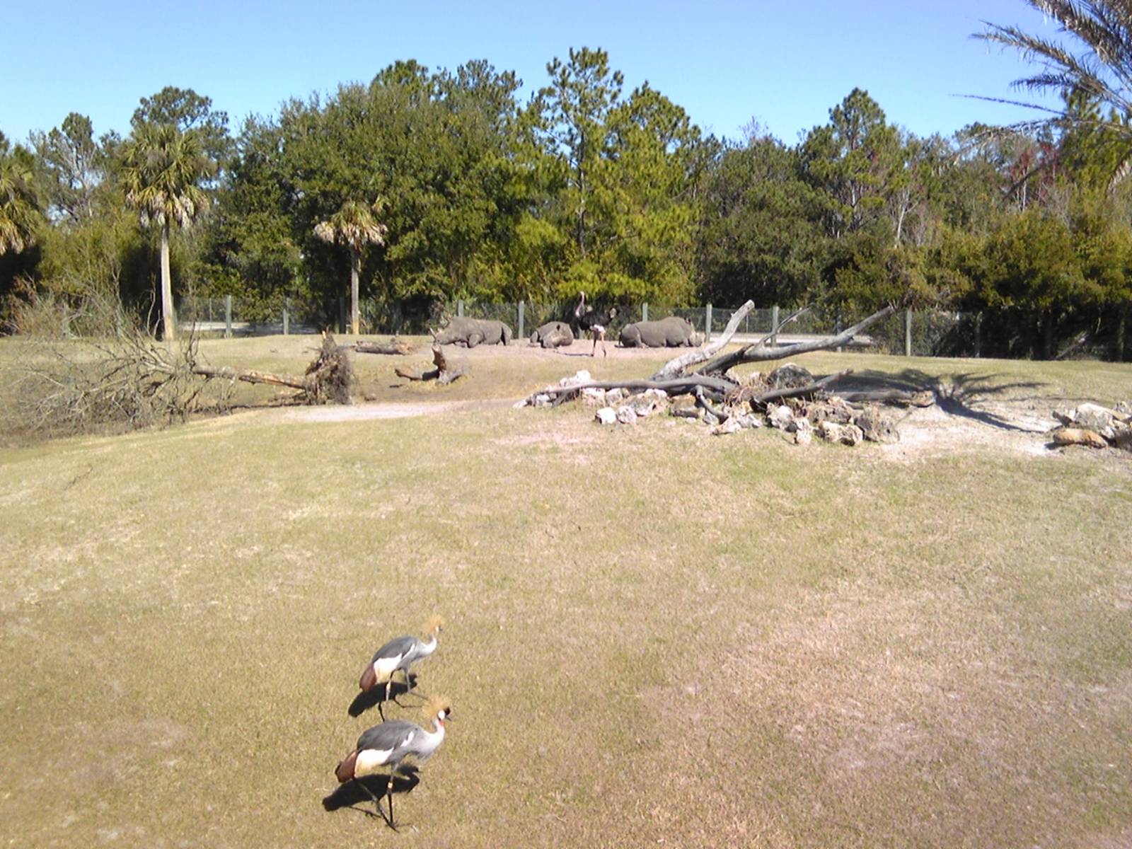 African Field Exhibit