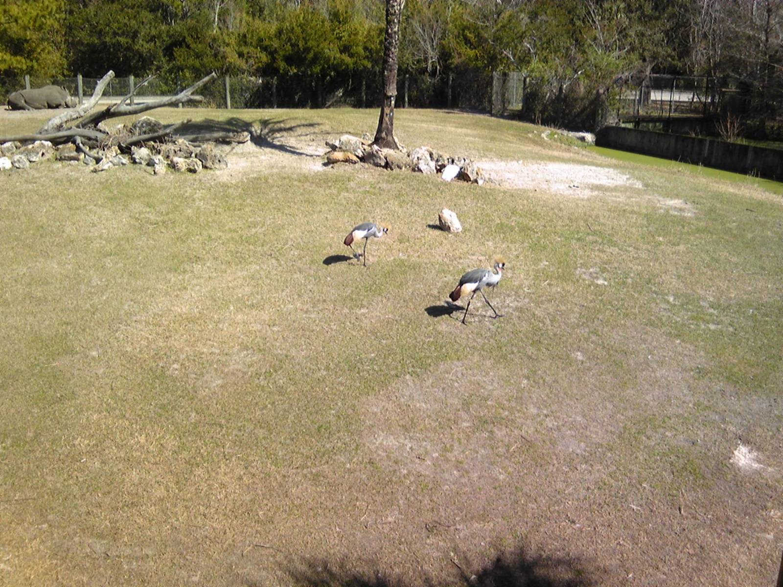 African Field Exhibit