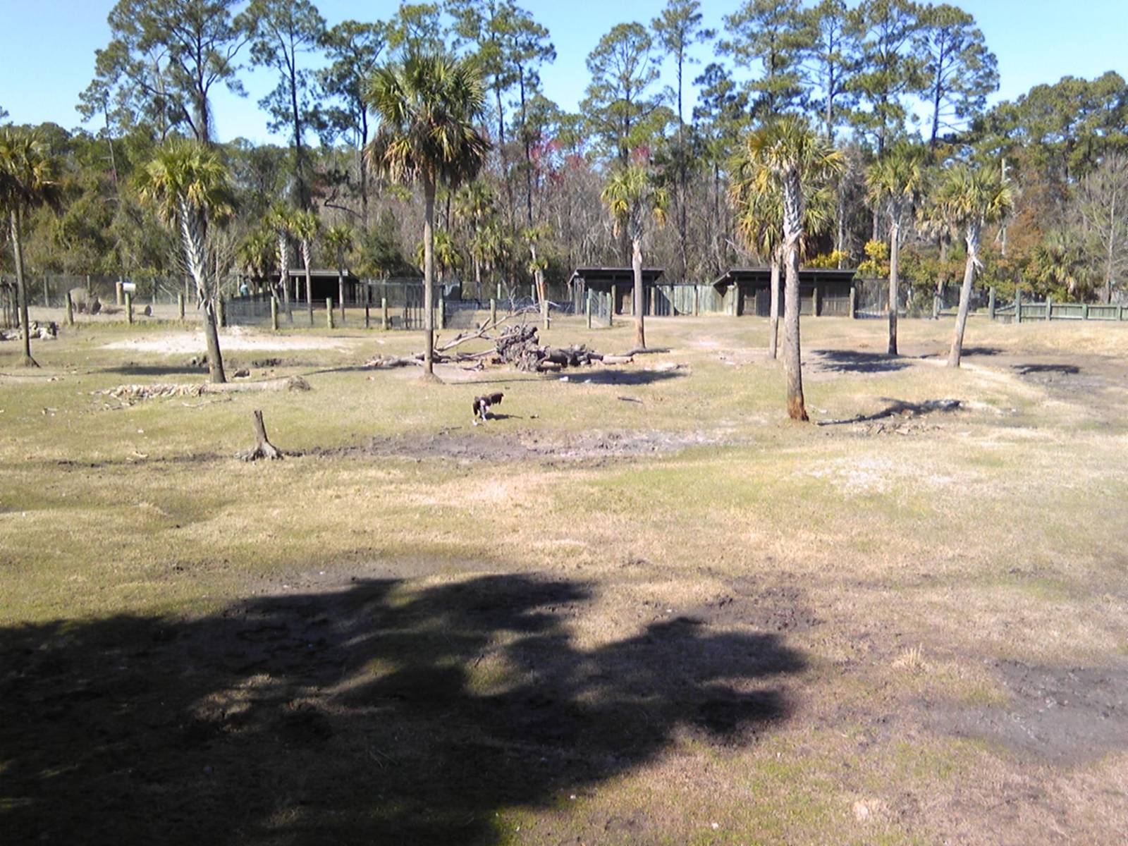 African Field exhibit