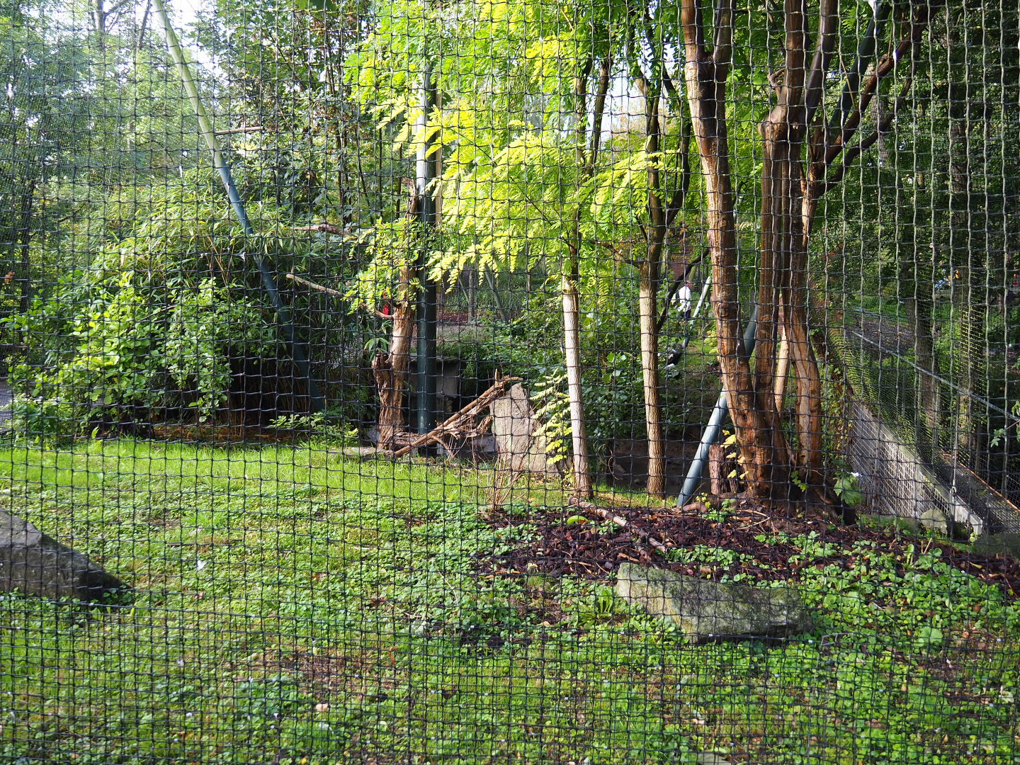 African fish eagle aviary, 2019-10-04