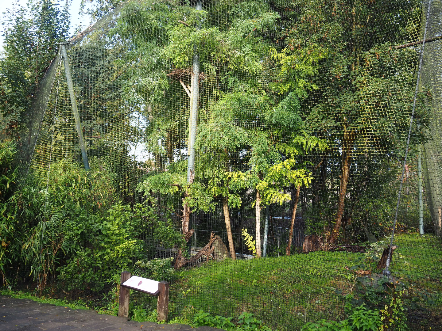 African fish eagle aviary, 2019-10-04